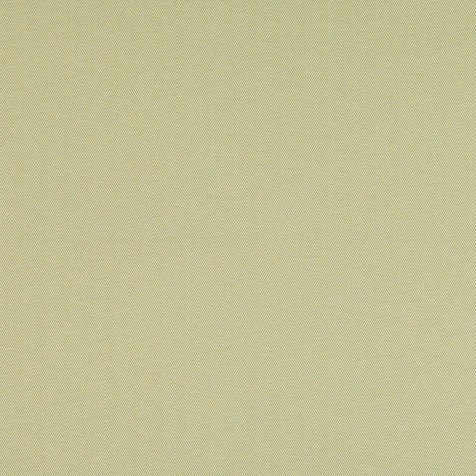 Maynard Sunshine - 2025