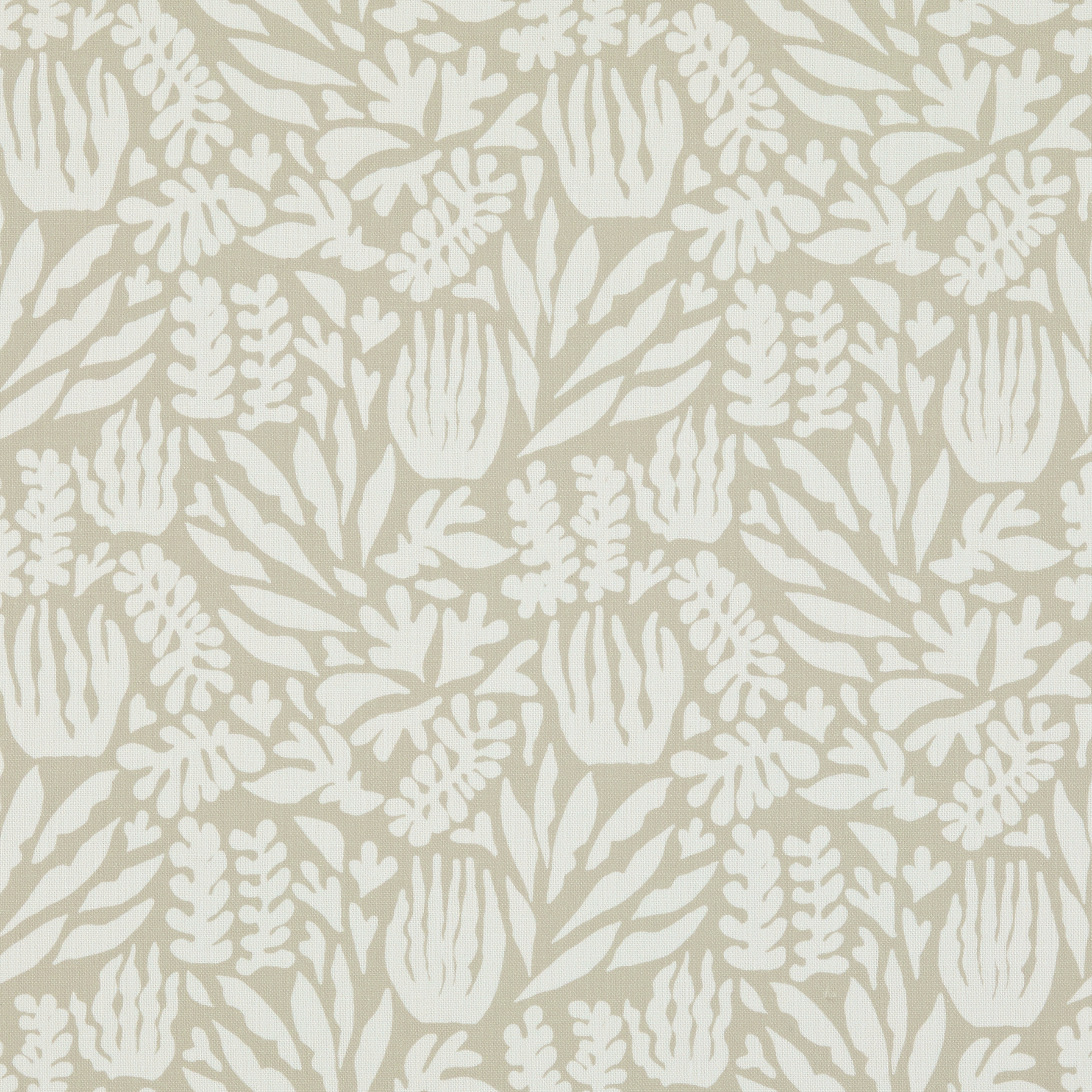 Ocean Natural - 2025