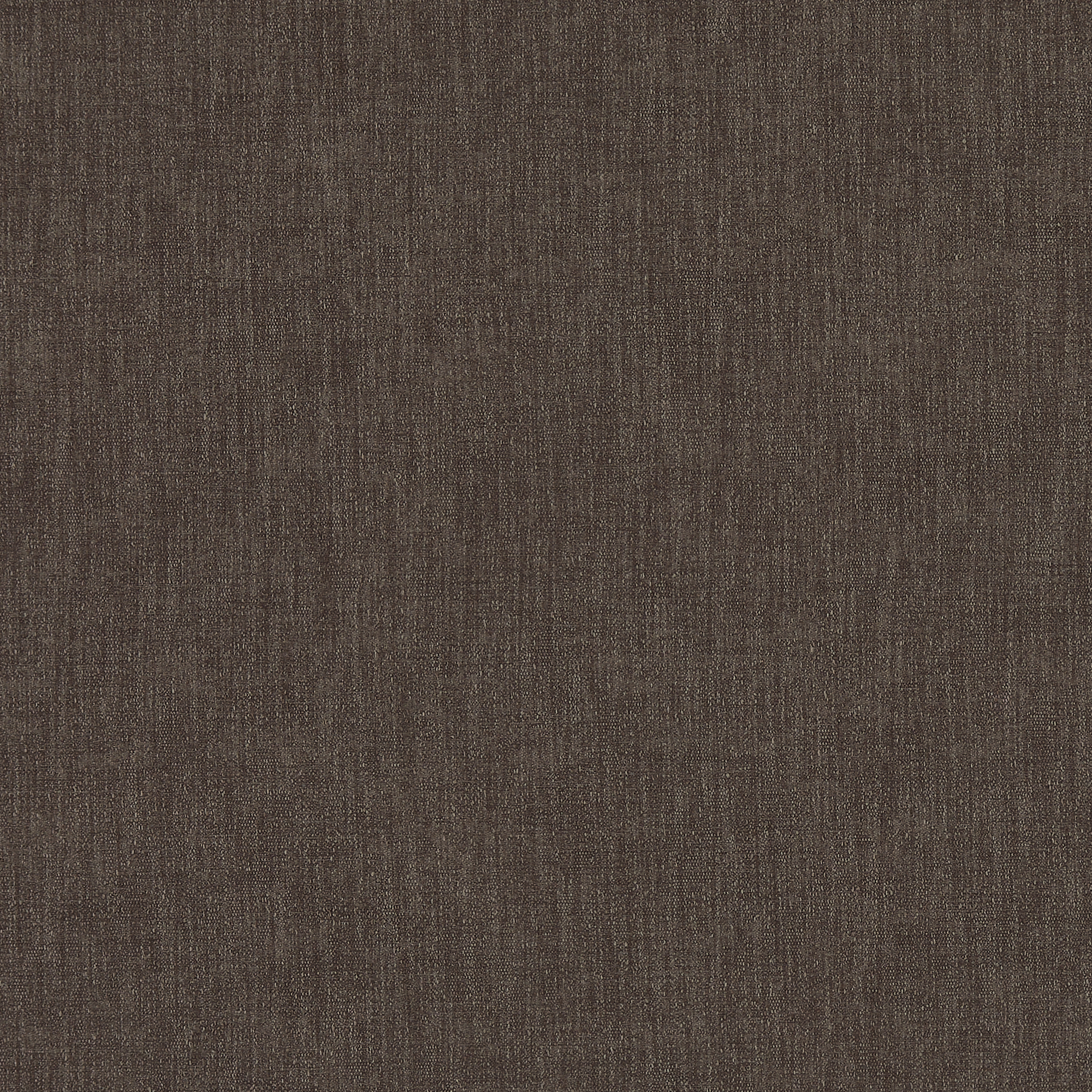 Orbit Chocolate - 2025