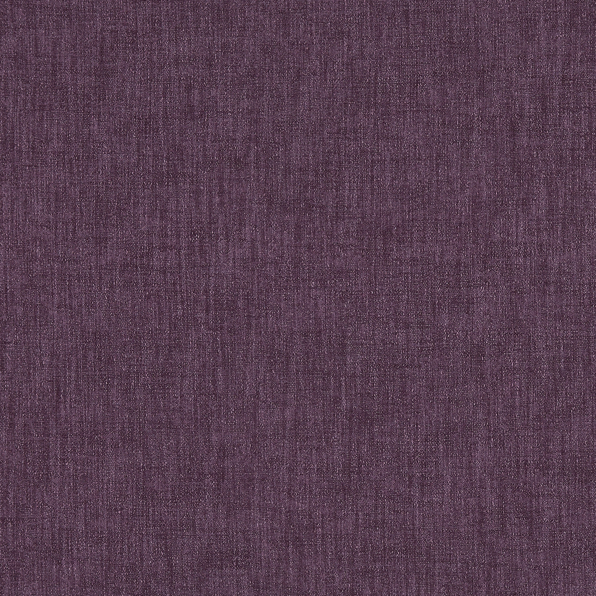 Orbit Purple - 2025