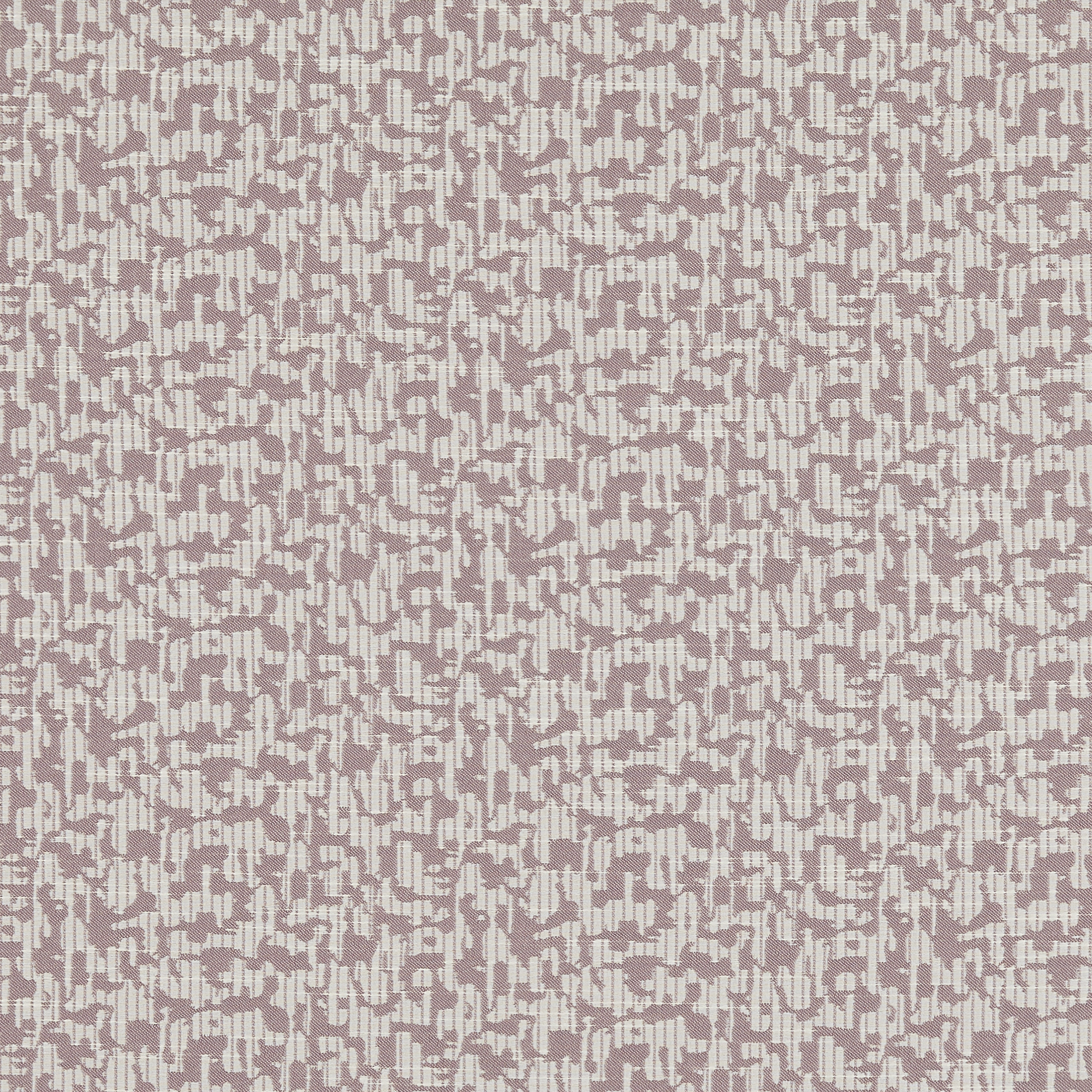 Rapture Berry - 2025