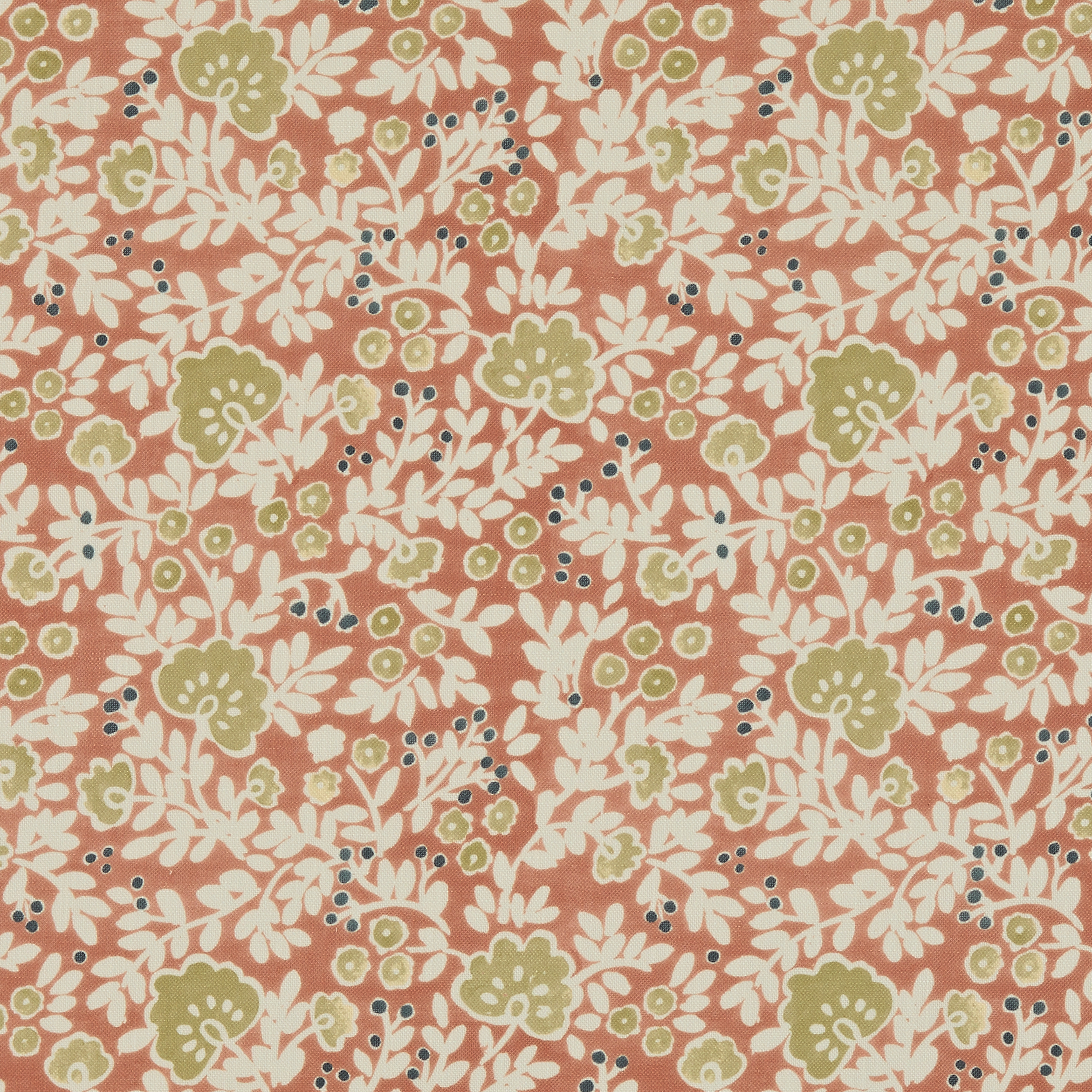 Rosalee Apricot - 2025