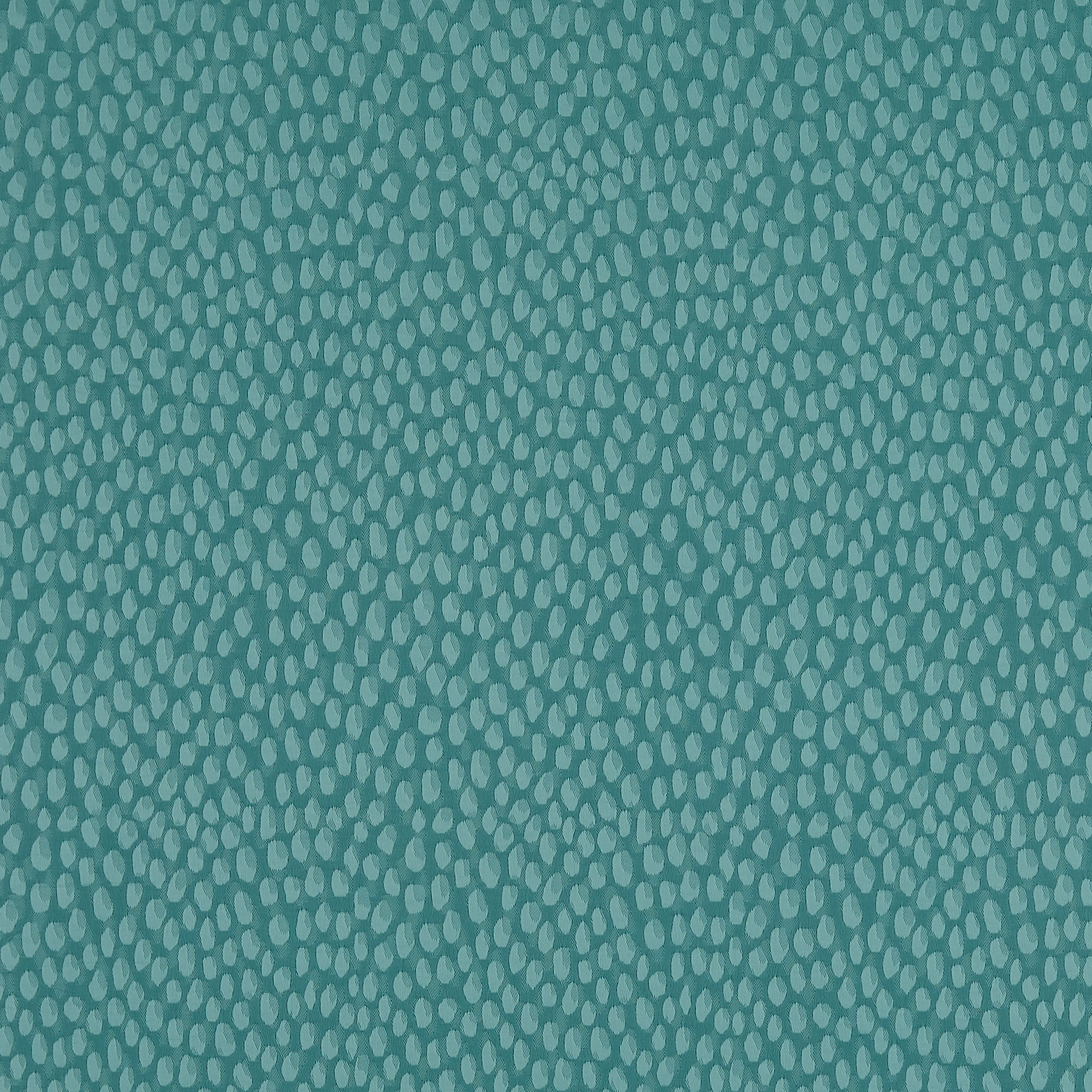 Speck Peacock - 2025