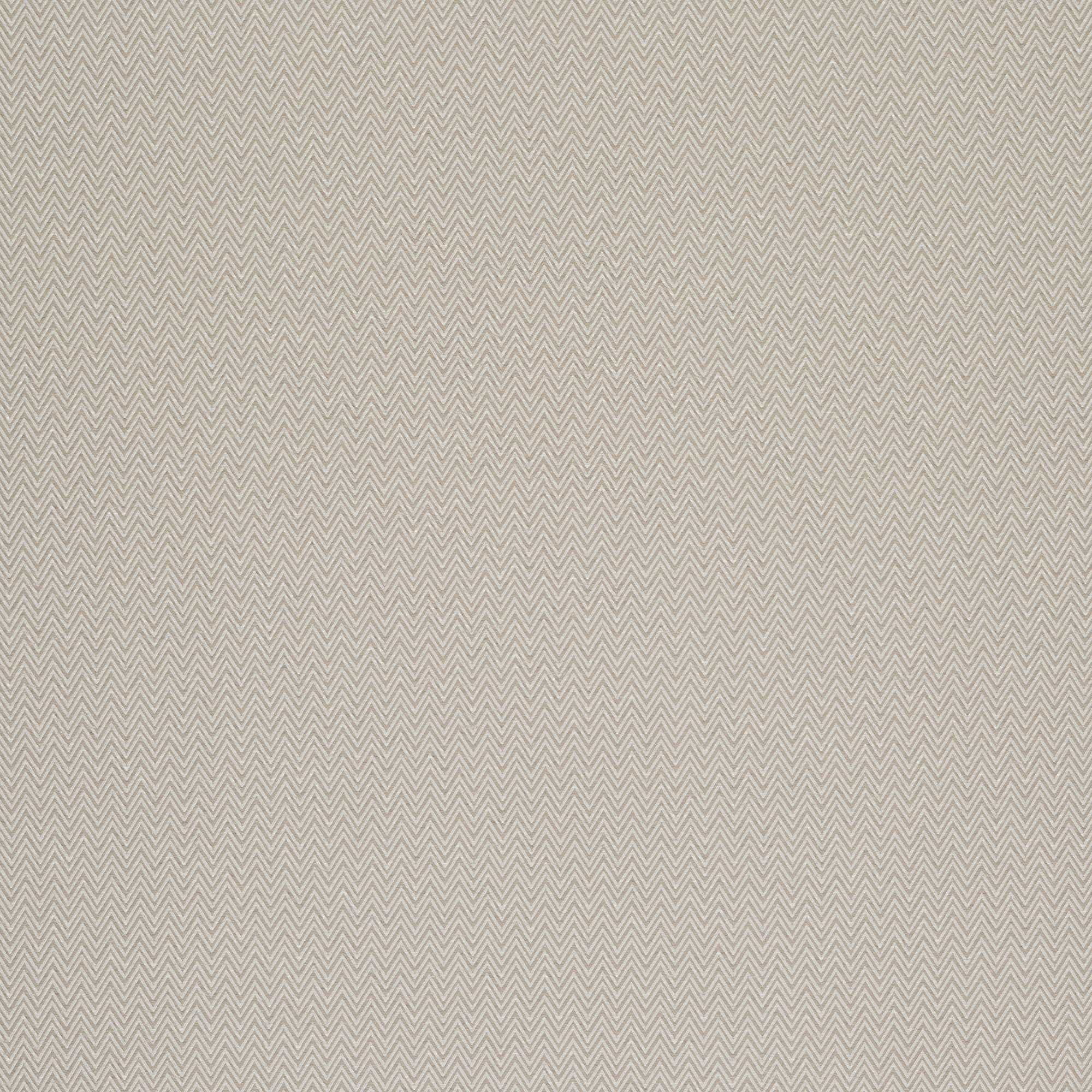 Tampa Natural - 2025