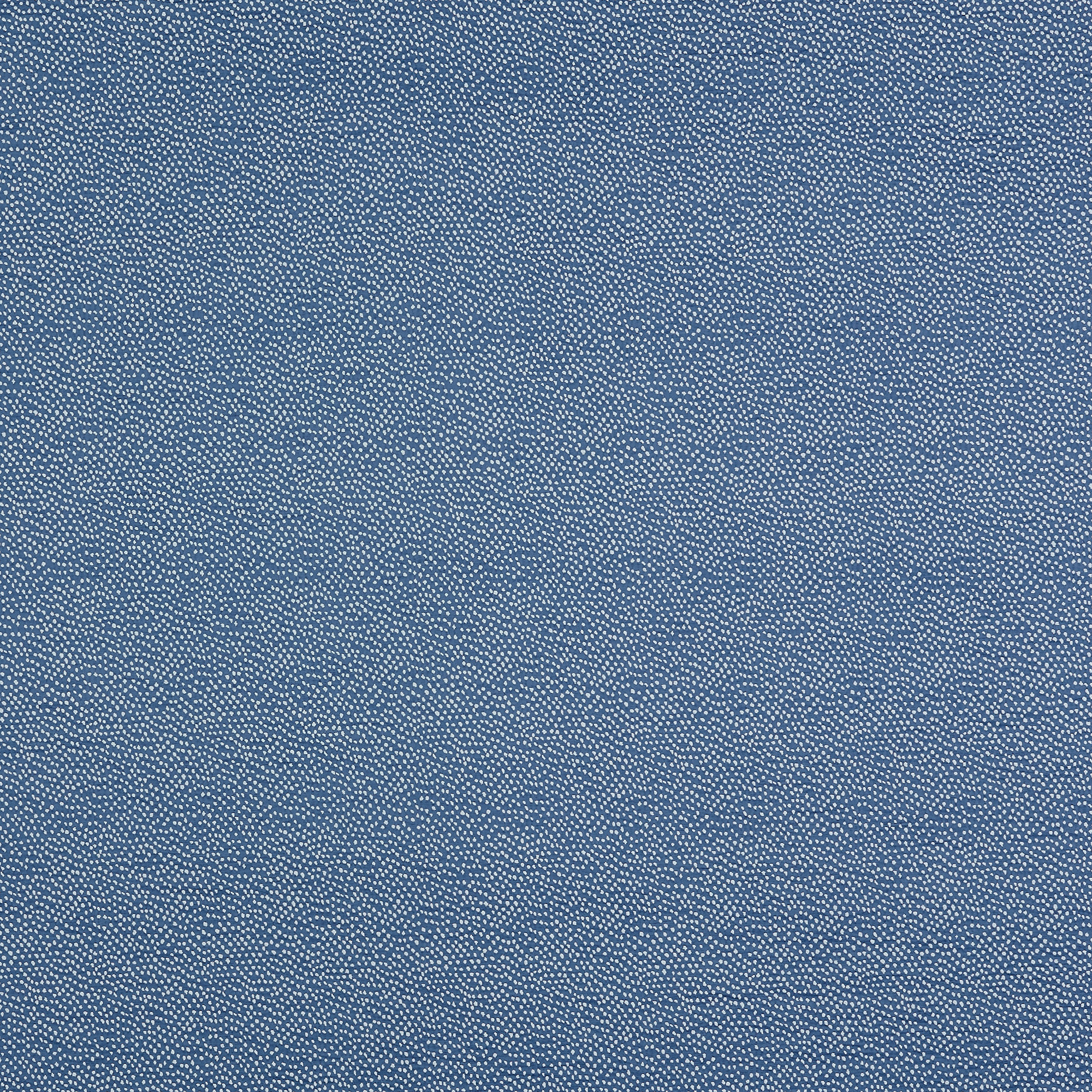 Zest Cornflower - 2025