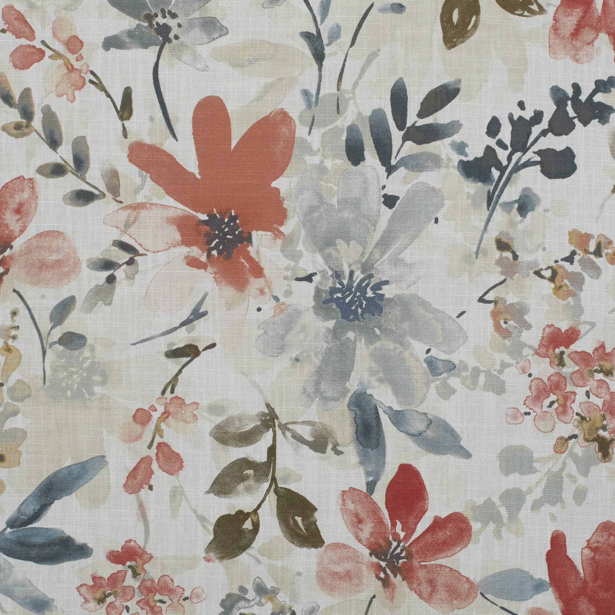 Amira Canberry - 2025