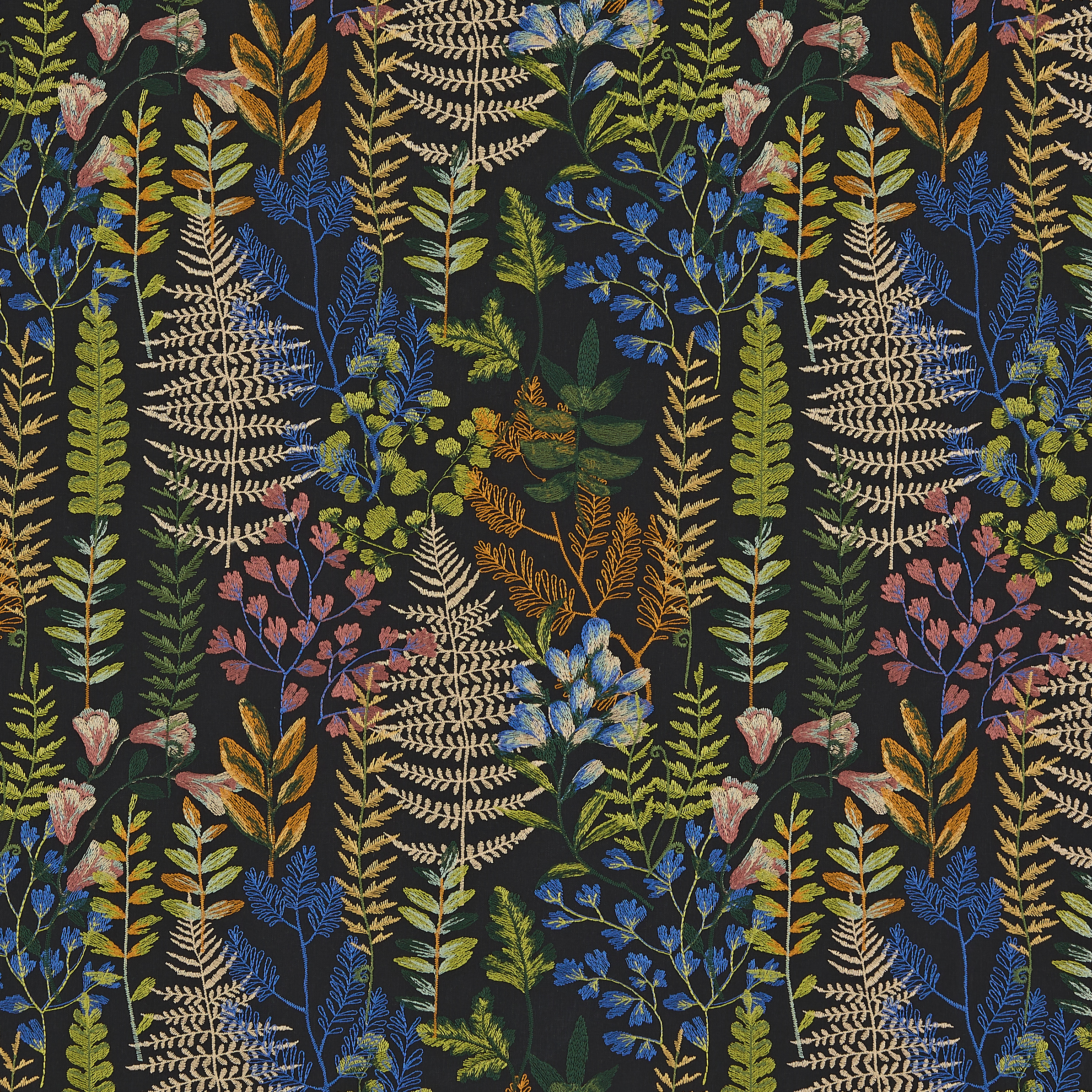 Alan Midnight - 2025