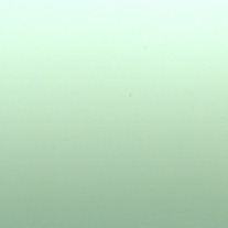 Peppermint From 27 Euro 25mm Slat only