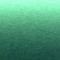 Everglades From 24 Euro 25mm slats only