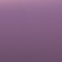 Wild Plum From 24 Euro 25mm Slat only