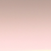 Pink Blossom From 24 Euro 25mm Slat only