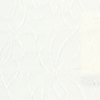 Rhapsody Vanilla - New 2022