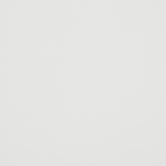 Palette Bright White - New 2021