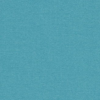 Polaris Teal Blackout - New 2022