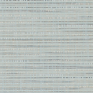 Canvas Celeste - New 2022